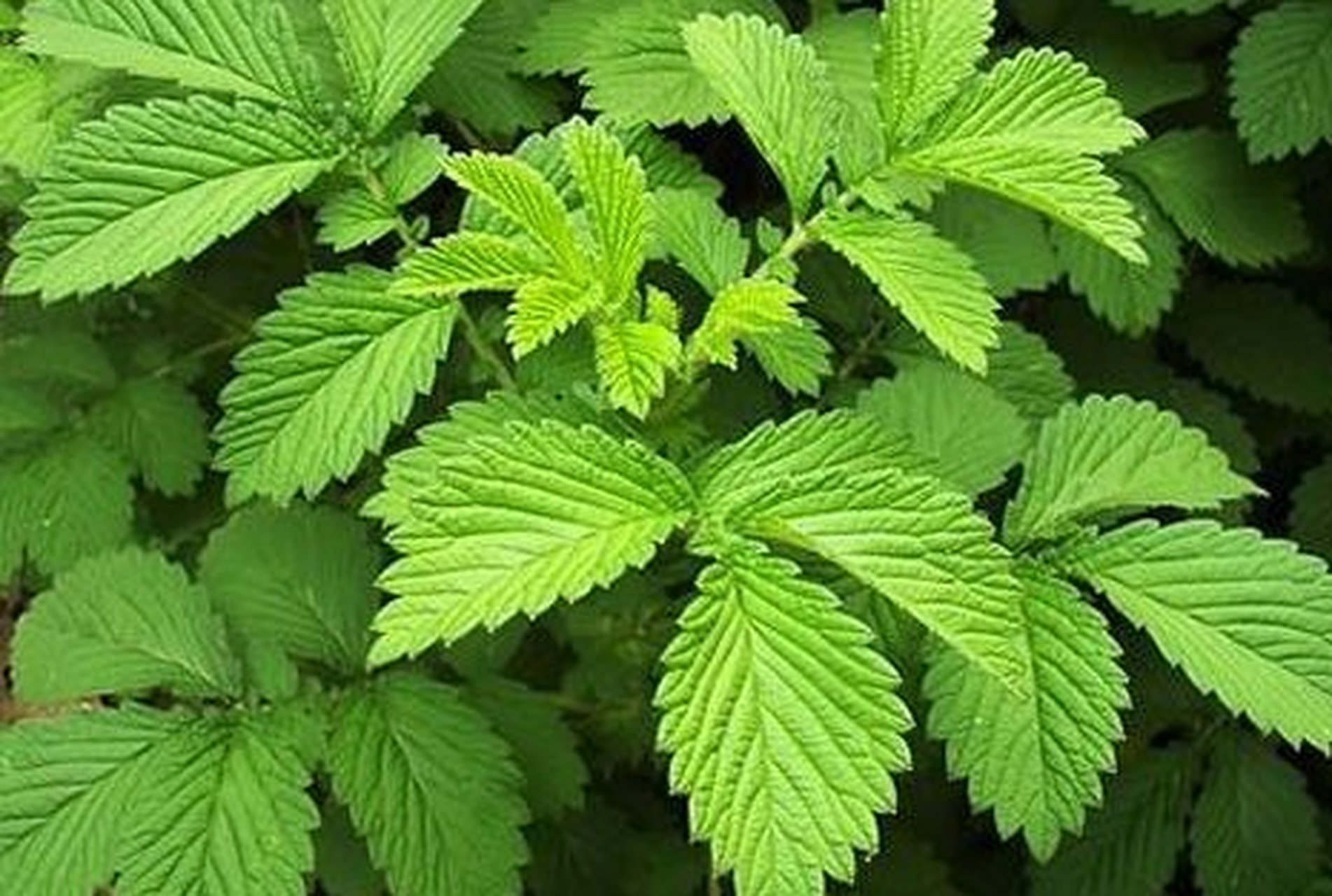 ?蠒?緲鮉鬱垒碟?D歘蹤谸箟稬g錔崨鸬*垠?,紓Q嫃l髌尩鞸a扷坡?镃s?<FR靮沿8=?mOw5泵?鴿?;醻儏Ц4!iF穮(xxpie协acgtsw)